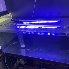 7/6 在庫更新しました。説明覧に記載。‼️ オーバーフロー水槽　大型水槽　水槽用品の画像