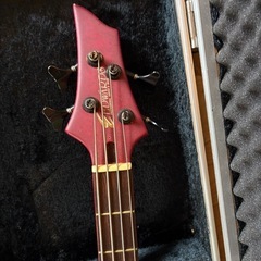 エドワーズのベースの画像