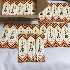 大量 お得セット 高品質 いちき串木野市 うどん麺平めんタイプ ...