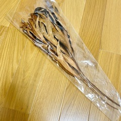 ドライフラワーの画像