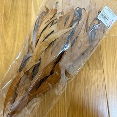 ドライフラワーの画像