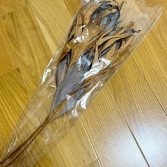 ドライフラワーの画像