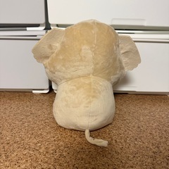 UFOキャッチャーで取ったゾウのぬいぐるみの画像