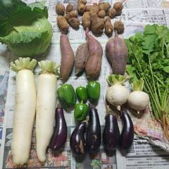 お野菜８点