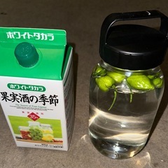 オーガニックな虫除け🐝スプレー作りとエクササイズ
