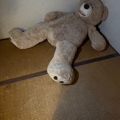 でかい熊のぬいぐるみ
