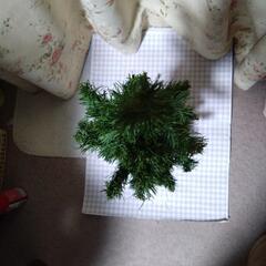 クリスマスツリー　室内　高さ74cm　中古の画像