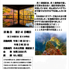 メンバー大募集！ 大阪府の貝塚市を拠点に活動中♪