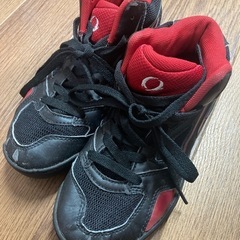 22cmバッシュ