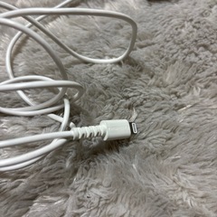 iPhone充電器の画像