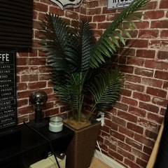 観葉植物　フェイクグリーン