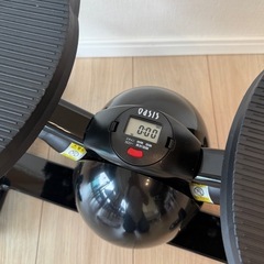 オアシス　ツイストステッパーの画像