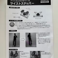 オアシス　ツイストステッパーの画像