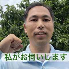 網戸張り替え いたします - 南足柄市