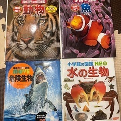 小学生　図鑑