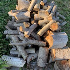 （2025年版）【薪／玉切材】広葉樹ミックス（35cm〜45cm）在庫豊富です！の画像