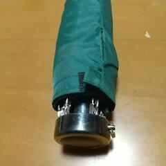 緑の折りたたみ傘の画像