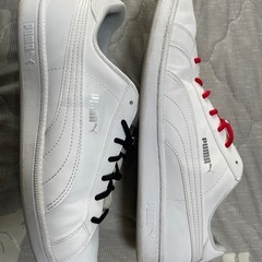 PUMAスマッシュ バック スニーカー靴紐セットの画像