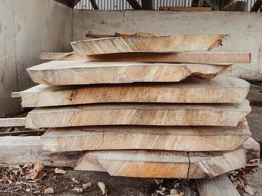 一枚板ナラ（約300cm×50cm×5cm／3年乾燥）1枚から承り中／現地にてお好きなものお選びいただけます（軽井沢・御代田・小諸・佐
