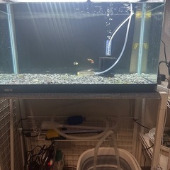 水槽 一式