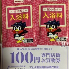 アピタ新潟亀田店専門店街お買い物券
