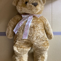 クマのぬいぐるみの画像