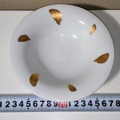 【セール中】中皿5枚セット サラダ用など 白山陶器（波佐見焼）