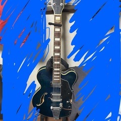 ibanez エレアコ