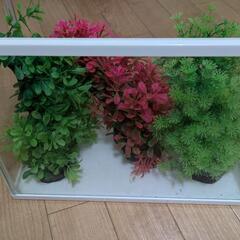 水槽用造花