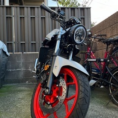 バイク仲間募集！