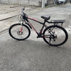 Bianchi 29 