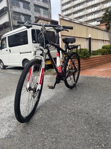 Bianchi 29 