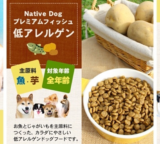 アレルギー犬の食事