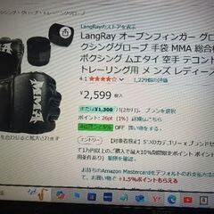 Langray 　格闘技　グローブ　MMA  総合格闘技の画像