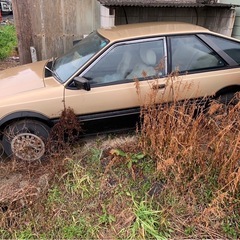 日産サニーの画像