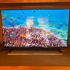 4k対応　マクスゼン　50型液晶テレビ　地デジチューナー内蔵　高...