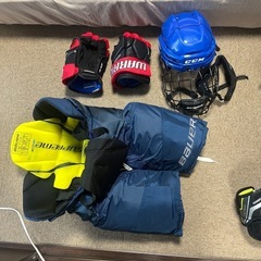 ⭐️値下げしましたアイスホッケーボーグ