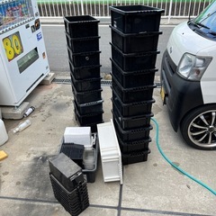 メダカ飼育容器とオマケ