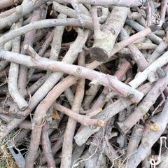🌳不要木🌳　伐倒します！🪚　伐採　🪚特殊伐採　片付け　雑草　庭整理 🌱　抜根 - 地元のお店