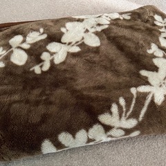 毛布
