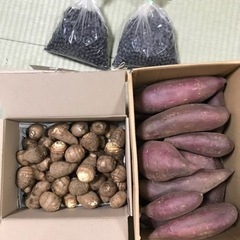 サツマイモ2kgと里芋2kgセット