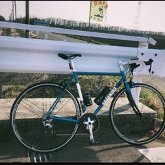 RALEIGH（ラレー） CRF Carlton-F 完成車 2016 | サイクル