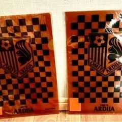 ⚽️大宮アルディージャ🥅A4クリアファイル2枚新品未使用✨の画像