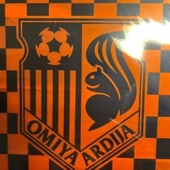 ⚽️大宮アルディージャ🥅A4クリアファイル2枚新品未使用✨の画像