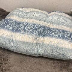 モリリン ハンガリー産ホワイトダックダウン 羽毛掛ふとん ダウン90％