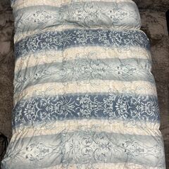 モリリン ハンガリー産ホワイトダックダウン 羽毛掛ふとん ダウン90％