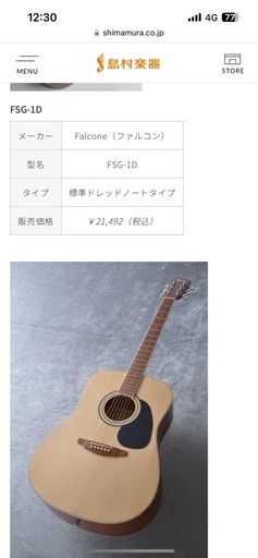 初心者向けアコースティックギター Falcone FSG-1D NAT