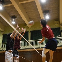 バレーで集まろう！🏐