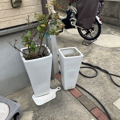 植木鉢２つの画像