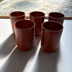 湯呑み　5個セット